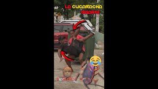 la cucaracha gigante part3 #viral