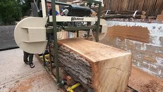 Hudson Warrior sawmill - slabbing a large elm tree