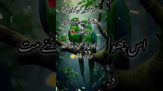 Dosti Ka tohfa har Kisi ko Nahin milta  #new #shayari #2025 #trending #urdupoetry #sadpoetry#love