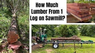 How Much Lumber Do We Get From a 12inch Cedar Log With Our Sawmill?    #sawmill #homesteading