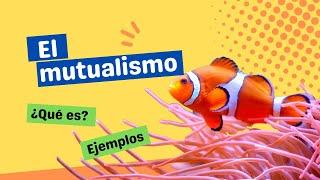 ¿Qué es el mutualismo?