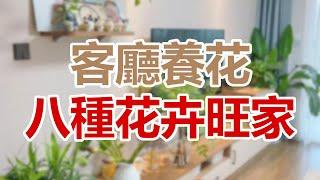 客廳養花秘笈：八種花卉讓你家旺上加旺！