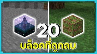 20 บล็อคที่ถูกลบออกไปจากมายคราฟ