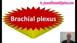 Brachial plexus | Injury | Erb,s paralysis | Policeman position | Klumpke,s paralysis | Claw hand