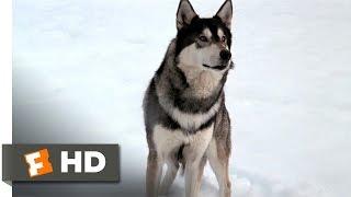 The Thing (1/10) Movie CLIP - The Norwegian Dog Hunt (1982) HD