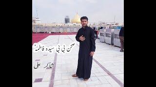 Sehin E Syeda Fatima as | صحن بی بی سیدہ فاطمہؑ | Najaf Ashraf Iraq 2019