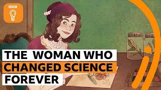 Maria Sibylla Merian: The woman who changed science forever | BBC Ideas