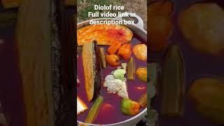 Thiebou dieune/diolof rice/riz au poisson/Rice con pescado