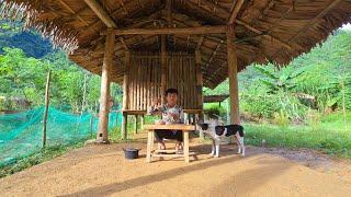 Poor boy - Building a house with clay - Taking care of pets - Cooking