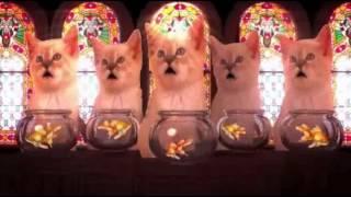 Jaime Barreales - Feliz Navidad