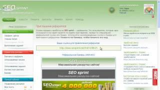 Кто такой Реферер,Реферал,что такое Рефбек на Seo Sprint