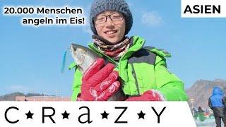 MASSEN-FISCHFANG neu interpretiert: In Südkorea ist Eis-Fischen beliebt! | CRAZY...Asien |Kabel Eins