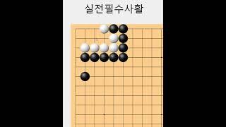 백을완벽히 잡는 실전기본 사활 입니다 - 바둑사활묘수 #바둑
