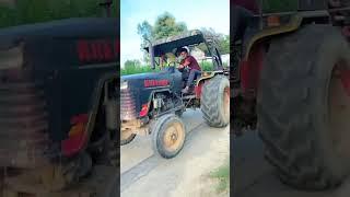 595 king of bijnor viral#tochan # mahindra