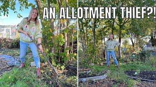 COLLECTING AUTUMN LEAVES AND AN ALLOTMENT THIEF! (MAYBE) / ALLOTMENTS UK