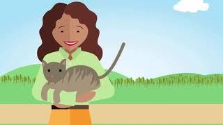 Fostering Healthy Ageing   Companion Animals and the Health of Older Persons