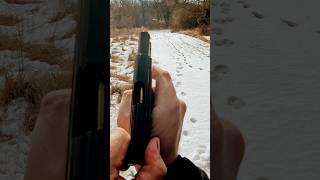 .25 Auto Saturday Night Special #ravens #phoenix #arms #outdoors #asmrsounds #nature #chill #guns