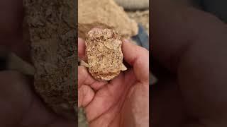 Gold Ore Looks Like This!