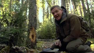 Ray Mears - Boreal Forest Walkabout , Canada - Northern Wilderness