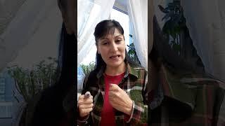 духовная свобода