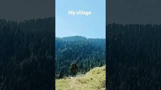 My village #viralvideo #viral #sharma