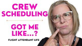 Delays and Schedule Changes * Flight attendant Life