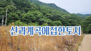 괴산토지매매/  계곡따라 산길을 쭉오르다보면 산과 계곡에 접한 작은 토지.괴산부동산.괴산토지 .전원주택매매.농가주택매매. 농막매매.