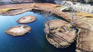 3 Floating Islands on Lake Are Popular With Tourists