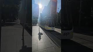 Get some sunshine... Singing Improv for you while I film Melbourne City Walk #singing #tram #song