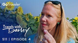Travels with Darley | S11E4 | North Dakota: Chasing Sunflowers