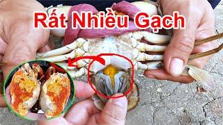 Chỉ Cần Nhìn Vào Yếm Cua , Bạn Sẽ Biết Con Nào Có Nhiều Gạch / Cách Lựa Cua Biển Rất Nhiều Gạch