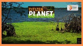 CITIZEN PLANET | Nairobi riparian land to be converted to green zones