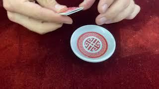 The Switch Cup - Magic Dream - Stevens Magic Original