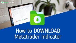 How to Download Indicator From #metatrader Marketplace #forextrading #mt4 mt5 #forexmarket #download