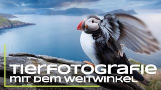 Tierfotografie mit dem Weitwinkel - Das musst du beachten!