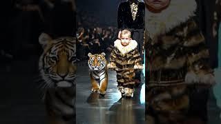 baby Fashion And Tiger #babyshorts #babyfashion #runway #aibaby #tiger #cute #animal #kids