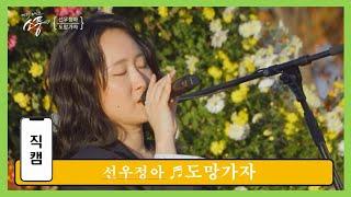 [직캠] ＂도망가자＂(선우정아) | 피크닉라이브 소풍| EP.134 | in 연천 국화축제&율무축제