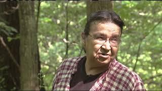 Black Ash Basketry: A Story of Cultural Resilience