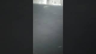 sajan sound system Ramwa Panthuwa ftp. dj