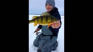 Leech Lake, MN - Jumbo Perch (February, 2014)