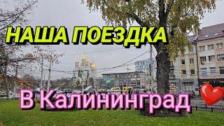 Из Германии в Калининград/всё есть!