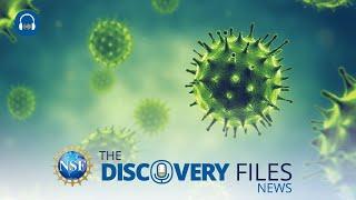 Infectious Disease Drivers #science #news #disease