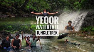 Yeoor waterfall | jungle trek | waterfall near thane