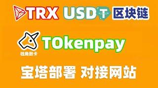 搭建TokenPay(独角数卡)TRON(TRX) trx20网络 epusdt｜支付插件｜个人收款｜USDT支付接口｜区块链支付｜收取加密货币｜发卡网｜异次元｜红盟云｜易支付