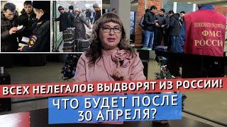 Что нужно сделать НЕЛЕГАЛЬНЫМ МИГРАНТАМ и их работодателям до 30 АПРЕЛЯ?