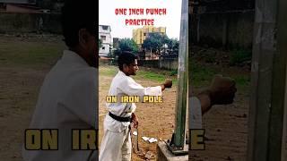 One Inch Punch Training#karate #tutorial#shorts