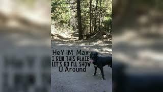 Hello im MaX