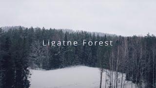 LIGATNE FOREST | LATVIA | DJI MINI 2 4K DRONE VIDEO