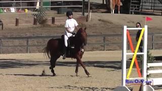 387S Cindy Feng on Fabio Beginner Novice Championships Show Jumping Woodside October 2014