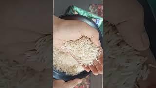 Daawat Biryani Basmati Rice Review | World's Longest Grain #shorts #ytshorts #vegfoodz #daawat #rice